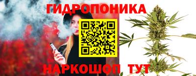 прущий лед Бийск